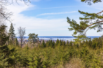 Fototapeta na wymiar Landscape view from a spruce forest on a sunny spring day
