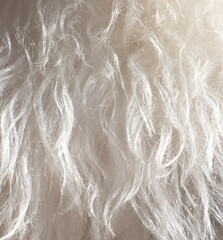 White sheep wool as an abstract background. Texture