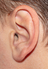 Close-up of a man's ear. Macro