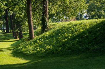 Newark Earthworks in Heath Ohio