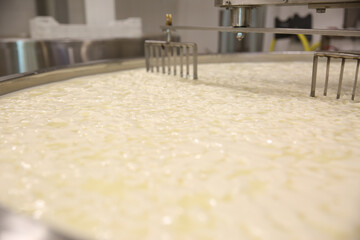 Curd and whey in tank at cheese factory, closeup