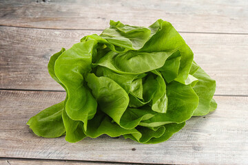 Salad leaves heap for snack