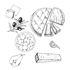 Hand drawn vector cheese illustration. Brie, feta, camembert set milk cheese image. Dairy design template