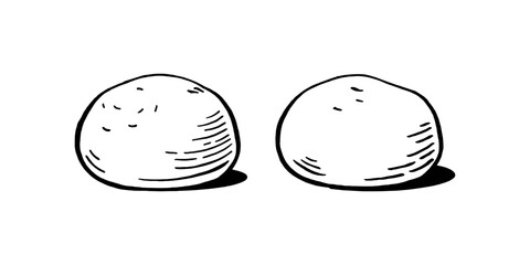 Mozzarella cheese balls for restaurant menus Packaging Vector Illustration Hand drawn