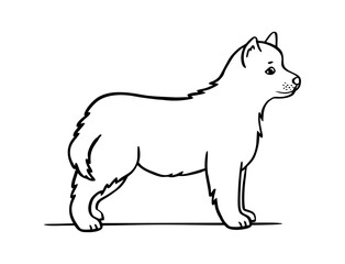 Dog. Hand drawn style. Sketch vector illustration isolated on a white background