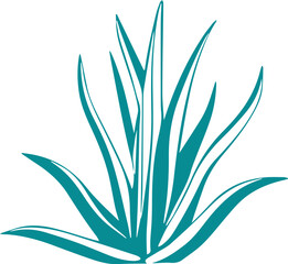Agave outline svg drawing