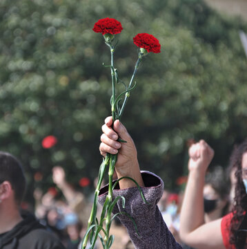 M&atilde;o de uma pessoa no ar a segurar dois cravos no meio de uma multid&atilde;o