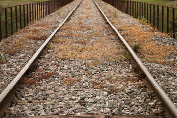 Railway tracks disappearing into the horizon. Concept of means of transport.