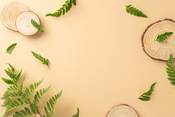 Fototapeta na wymiar Simple nature design concept. High angle view photo of fern foliage with round wooden pieces on isolated beige background with copy-space