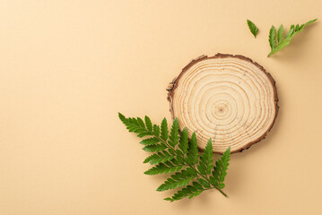 Wild nature beauty concept. High angle view photo of round wooden plate with branches of fern on it...