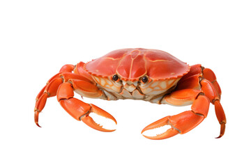 Crab Carnival: Festive Flavors from the Ocean's Bounty isolated on transparent background