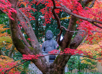 京都、金戒光明寺塔頭栄摂院の紅葉