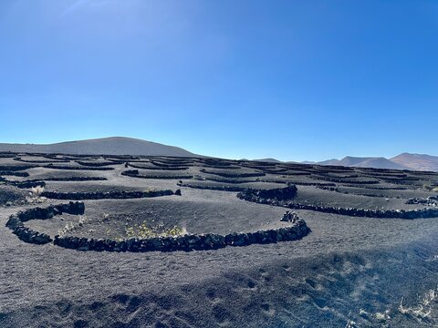 Cone shaped hollows (geria) in volcanic mountain terrain near La Geria, Lanzarote, Canary Islands, Spain
