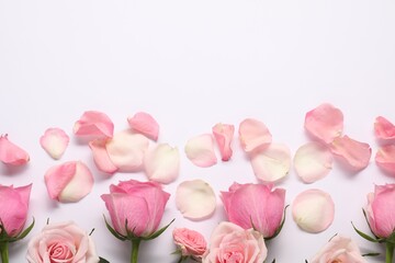 Beautiful pink roses and petals on white background, top view. Space for text