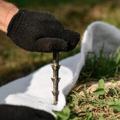 Worker pierces and fixes the geotextile with a plastic peg for agrofabric with a gloved hand.