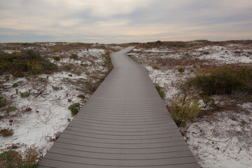 Fototapeta na wymiar A scenic view of a footpath through sand dunes on the Gulf Island National Seashore, Pensacola, Florida.