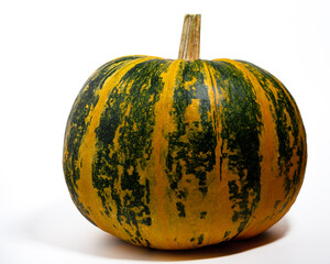 pumpkin isolated on white