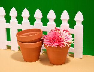 Clay pots with flowers stand by the white fence. Summer house and cultivating land.