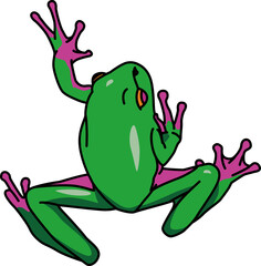 カエル（frog）(PNG)