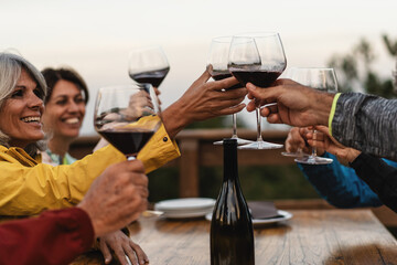 Group Toasting with Wine at Outdoor Gathering