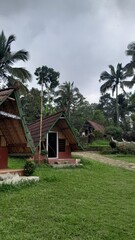 tropical resort hotel