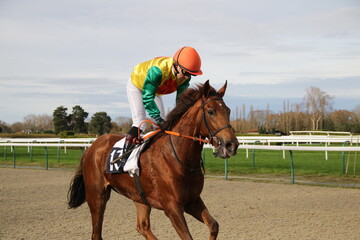 Courses hippiques à l'hippodrome de Pau - France