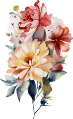 Flower watercolor illustration set