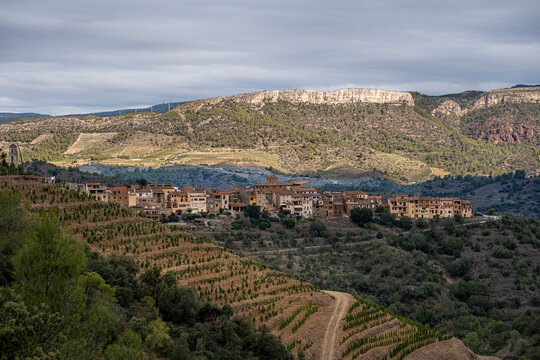 Panoramic of the village of Masroig among vineyards during spring in the Priorat designation of origin region in Catalonia in Spain