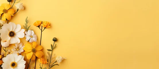 Fototapeten White and yellow spring flowers on yellow background. © Simon