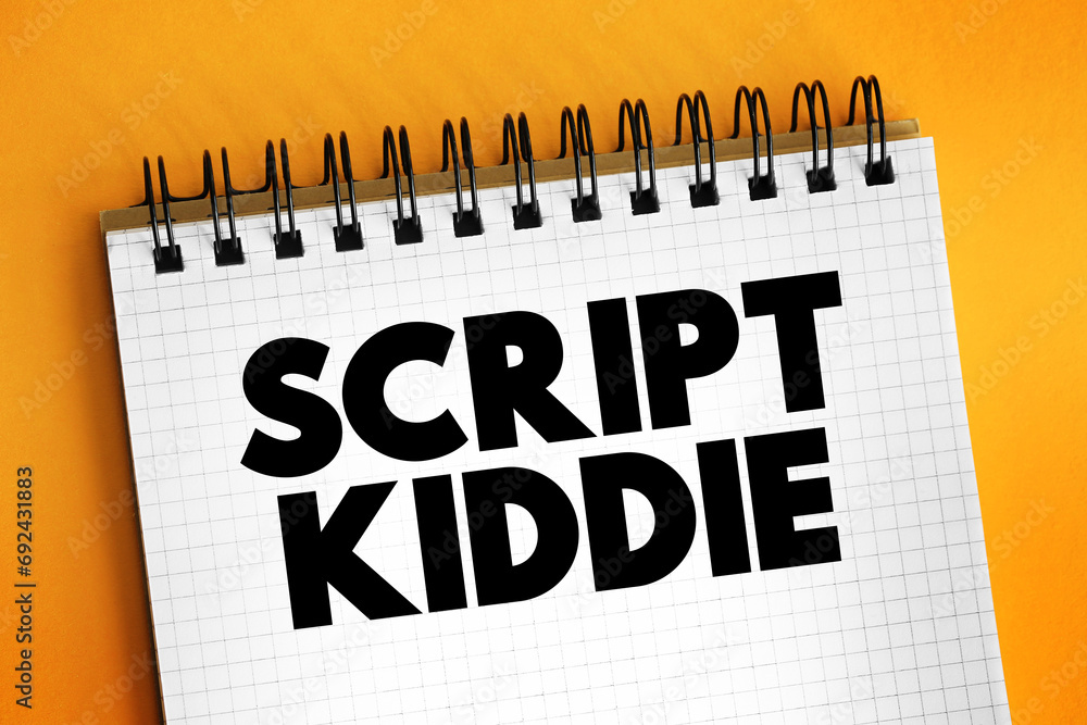 Fototapete script kiddie is someone that uses existing software to hack computer systems belonging to others, t