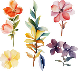 Flower watercolor illustration set