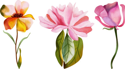 Flower watercolor illustration set