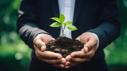 Foto op Canvas Hands of a businessman holding with care the seedling of a plant with green leaves sprouting. Sustainable growth & environmentally conscious long term investment concept. © Giotto