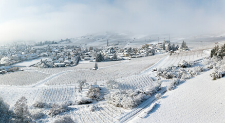 Aerial image of the snow-covered village surrounded by frozen vineyard in Hallau, Klettgau,...