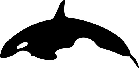 Orca Wal © Leonard Höhnle
