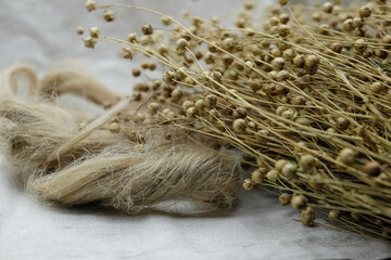 Fibers of natural uncolored flax, tow. Flax seeds pods. Linen canvas. 