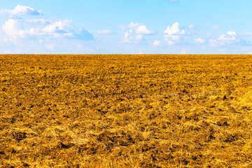 plowed field with fragments of yellow grass