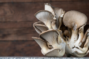 Fresh hanger mushrooms on the table. Wild mushrooms. Alternative protein. Beautiful background with...
