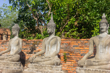 Obraz premium Buddha statues in Ayutthaya, an ancient city, Buddha statues in a temple in Ayutthaya, Thailand