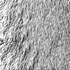 Monochrome fur texture vector illustration.