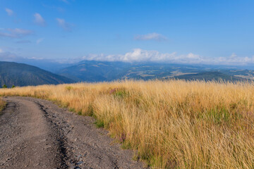 Fototapeta premium Landscape along the Camino de Santiago trail