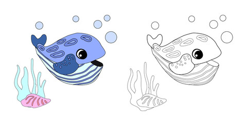 Coloring book Striped whale with shells, bubbles and algae in the ocean. For posters, prints on clothes.