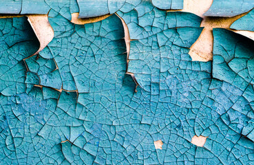 wall texture with cracked peeling blue paint