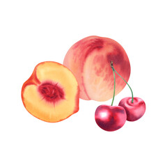 Peach fruit and cherry. Watercolor illustration on a white background. Juicy fruits. Harvesting. Healthy eating. Logo, sticker printing, icon.