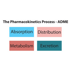 Diagram showing pharmacokinetic parameters - ADME - Absorption, Distribution, Metabolism and excretion.