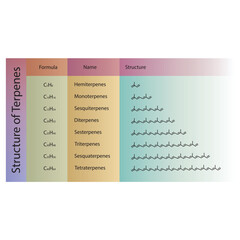 Diagram of Terpenes structure - Hemiterpenes, Monoterpenes, Diterpenes, Tetraterpenes and more - skeletal structure. 