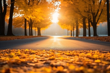 autumn in the park