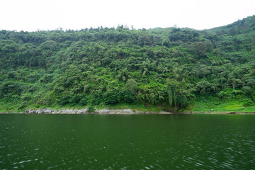 lake in the forest