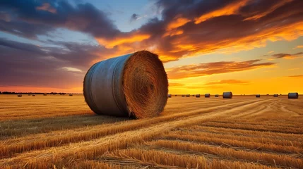 Fotobehang a large bales of hay in a field © nicolae
