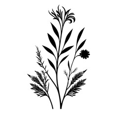 Botanical Leaf vector illustration